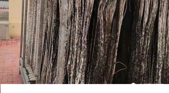 2022���Z��ʯ�V�ϏS�ҡ���؛��MBRĤ�۶�ԭ��������\�й���?