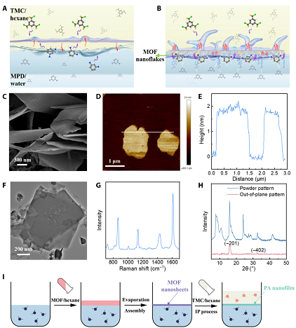 2022��13X���ӺY�S�Ҿ��г����x���� || ����MOF�Ƃ䳬��PA�{��Ĥ
