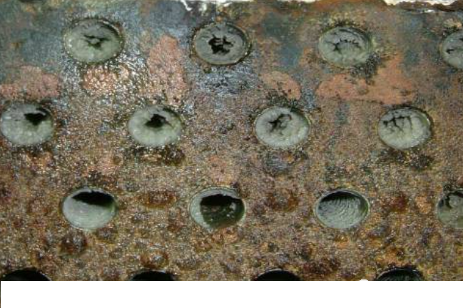 2022���X�F�ۺ��Ȼ��X�FPAFC�S�ҹ��Iѭ�hˮ�������}����Q���������㹝ˮ����!