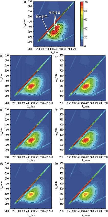 2022����������������MBBR�r��늻��W(xu��)�������Ĥ�^�V���̎�������Uˮ��ˮ�о�