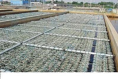 ��Ʒ�|(zh��)�������͚������S����ˮ�S������RÓ�׳������}����ô����?�@���N����������!