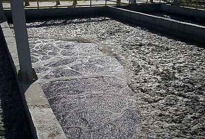 �Ϻ���s�����ϏS(ch��ng)�ҡ���؛����ˮ̎���У���ĭ������(w��n)�}��R��!