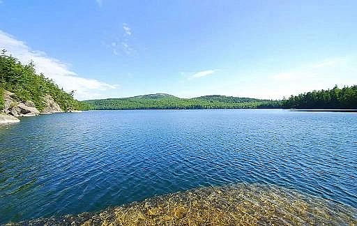 2022����������X��?y��n)V�σr(ji��)������800��������(du��)�h(hu��n)����I(y��)�a(ch��n)���޴�Ӱ�!����һλ�h(hu��n)����I(y��)�ҵ�˼��