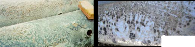 ȫ��3A���ӺY���a�S��ѭ�hˮϵ�y�е���\�����g����ָ��