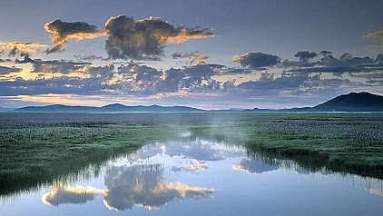 �๦�ܴ��F�V�V�����a(ch��n)�S�ҡ��^�c����β���äĿ�����ˮ̎��S��ˮ�˜�?