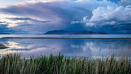 �๦�ܴ��F�V�V�����a(ch��n)�S�ҡ��^�c����β���äĿ�����ˮ̎��S��ˮ�˜�?