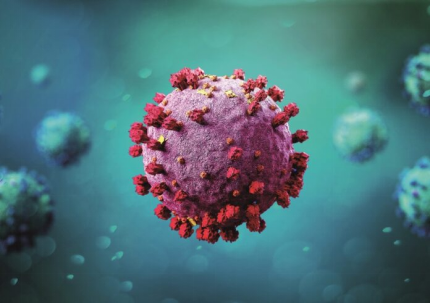 ������ĭ�V��V�����a�S���ь���ˮ�еĊW�ܿ���/Omicron����